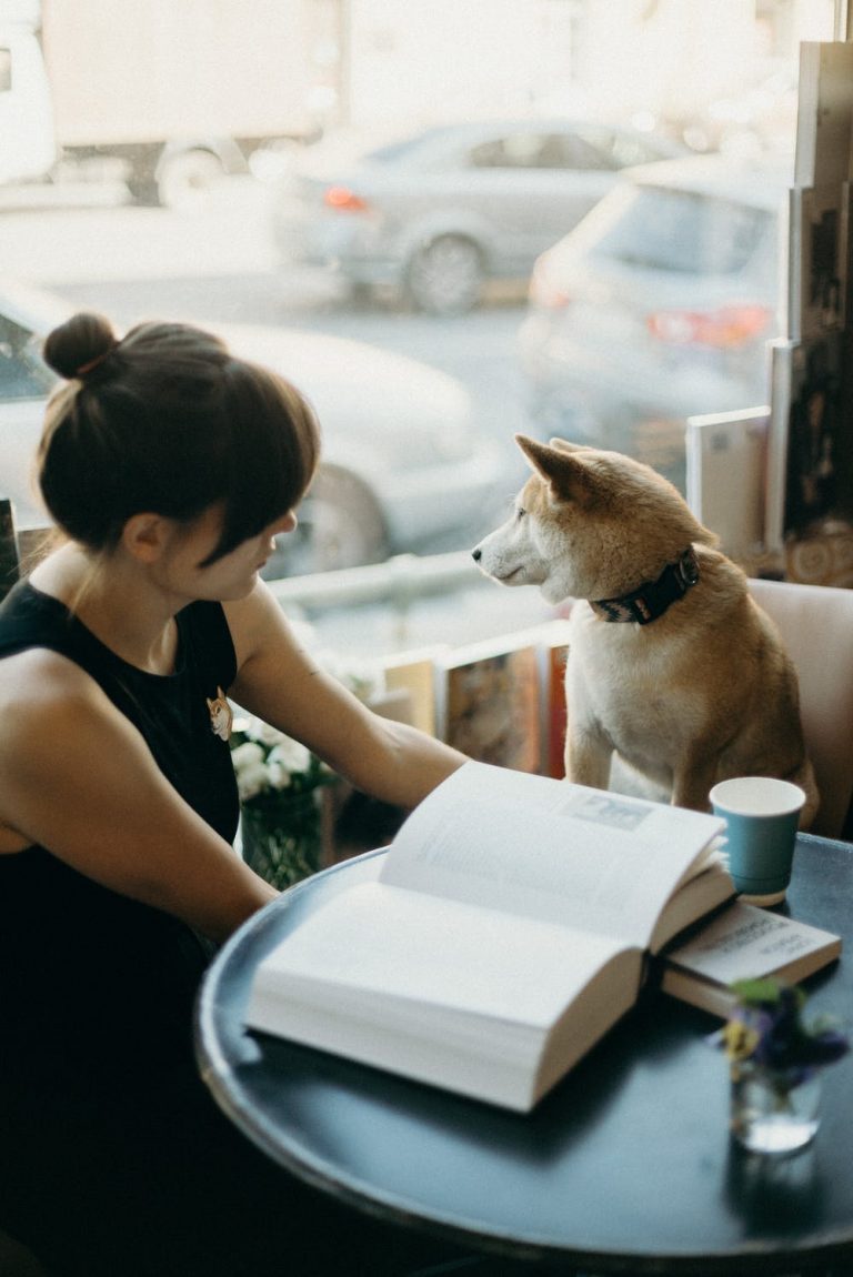 初心者でも飼いやすい大型犬の犬種ランキング 値段や性格を徹底調査 Stand By Me