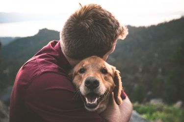 初心者でも飼いやすい大型犬の犬種ランキング！値段や性格を徹底調査！